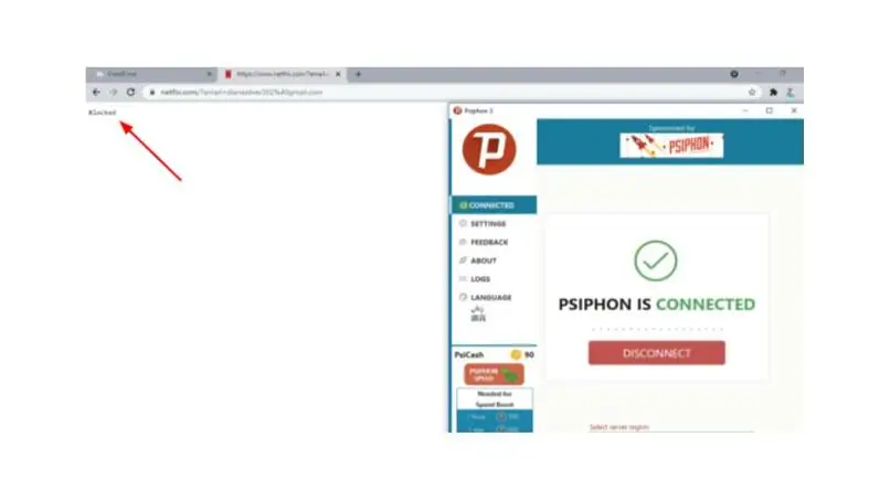 امروزه تعداد کمی از VPN ها می توانند بلوک های سختگیرانه VPN Netflix را دور بزنند
