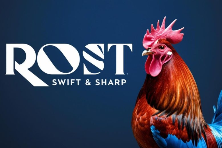 دانلود فیلتر شکن خروس وی پی ان Rooster VPN فعال سازی آسان