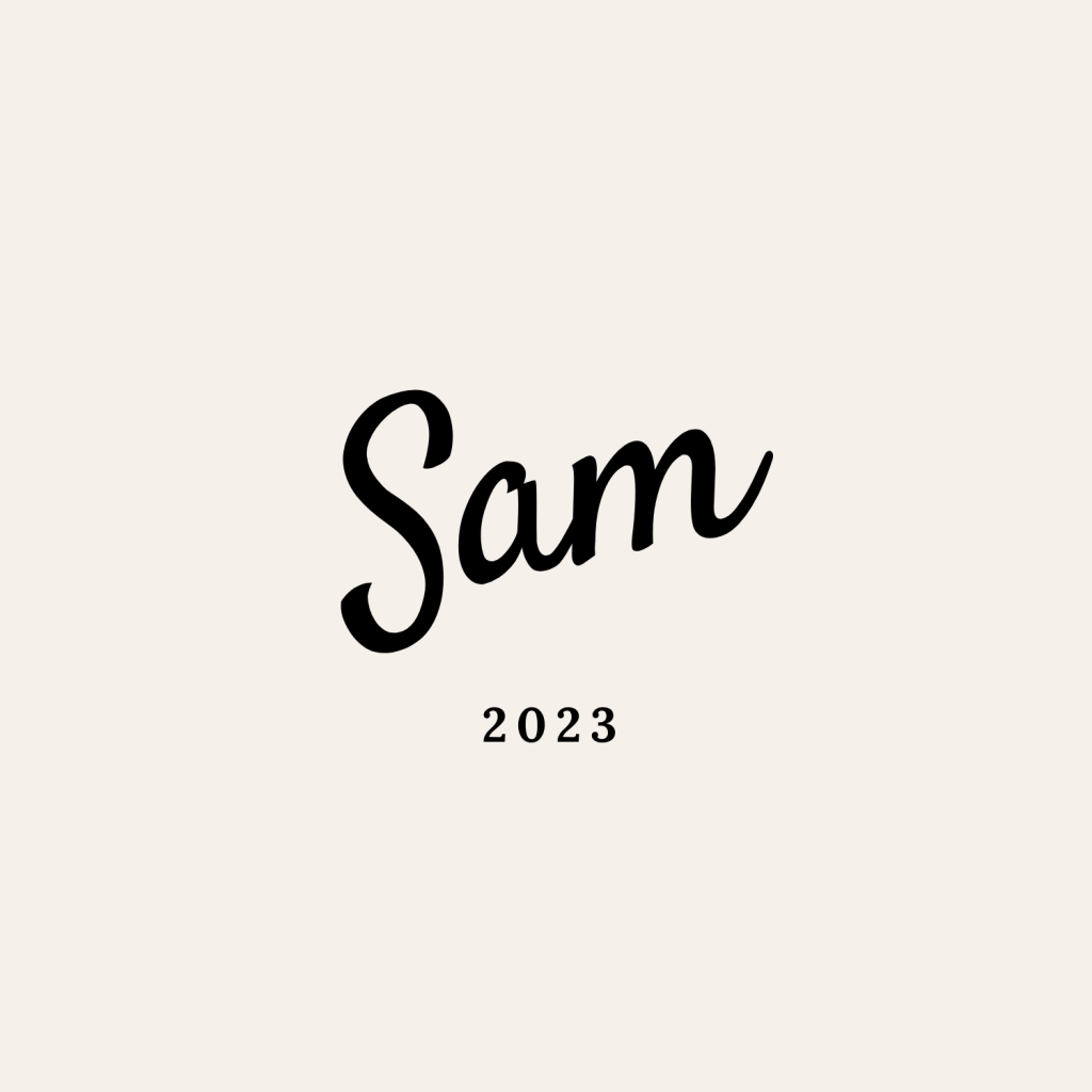 دانلود فیلتر شکن کاملا رایگان بدون قطعی Sam VPN